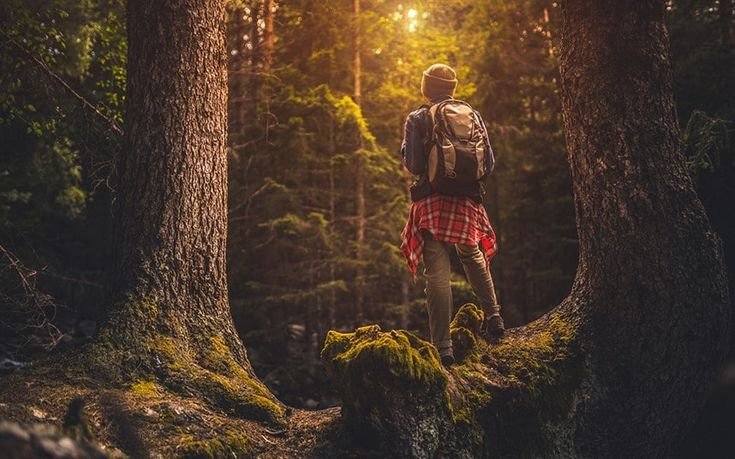 Sustainable Living Practices